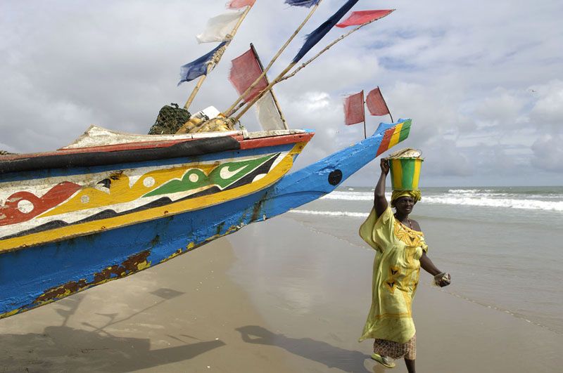 GAMBIA. Playa de Tanji. Llegada de los cayucos con la pesca del da.