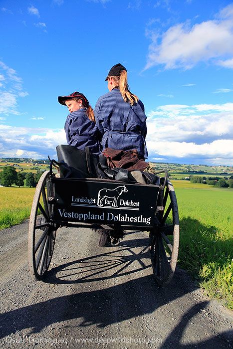 camino de nidaros, peregrinos